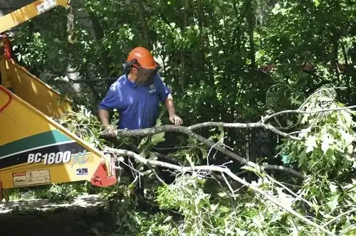 tree services Andrews AFB